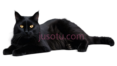 黑猫,趴卧,黑色, PNG
