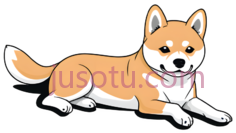 柴犬PNG