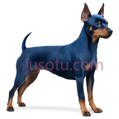 狗,3D,蓝色,棕色PNG