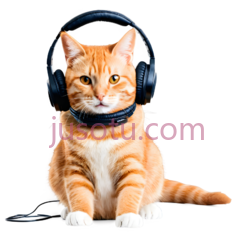 猫,坐着,橘色,白色PNG