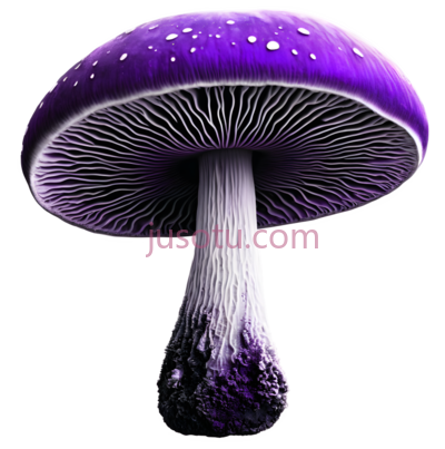 蘑菇,紫色, PNG