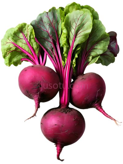 甜菜,自然,紫色, PNG