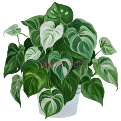绿萝植物,粉绿色,灰绿色, PNG