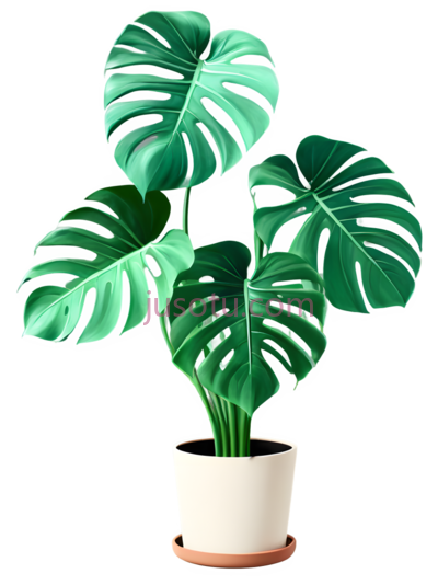 绿萝,花盆, PNG