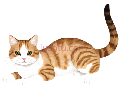 猫,毛茸茸, PNG