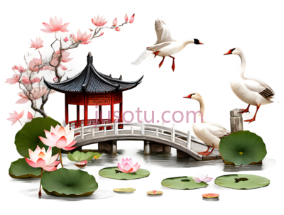 荷花,荷叶,小桥,凉亭,白鹤,中国风,白色,绿色,粉色,红色, PNG