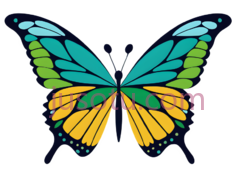 蝴蝶,卡通,蓝色,绿色,黄色PNG