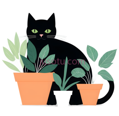 猫,盆栽,卡通,黑色,绿色,橙色,白色, PNG