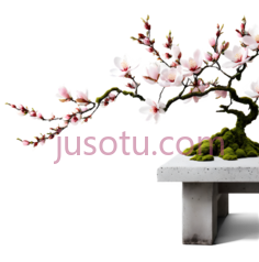 盆景,白色,绿色,粉色PNG