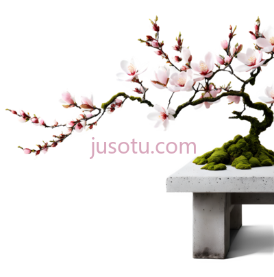盆景,白色,绿色,粉色, PNG