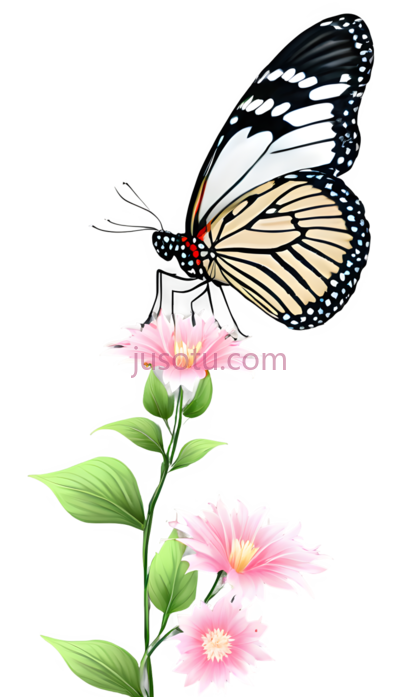 蝴蝶,插画,黑色,白色,黄色, PNG