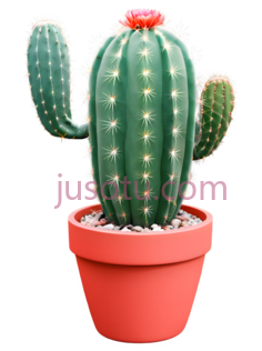 仙人掌,盆栽植物,绿色PNG