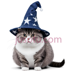 猫,戴着巫师帽,灰色,白色,蓝色PNG