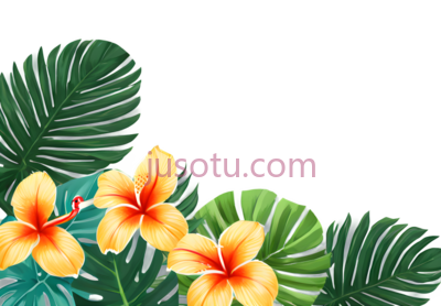 热带植物, PNG