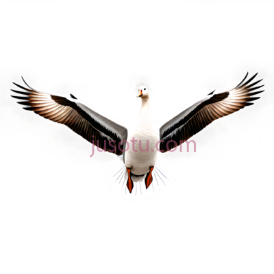 鹅,飞翔,白色, PNG