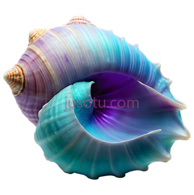 幻想贝壳,紫色,青绿色, PNG