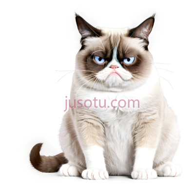 猫,不悦,白色,棕色,黑色, PNG