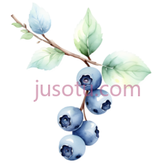 蓝莓枝条PNG