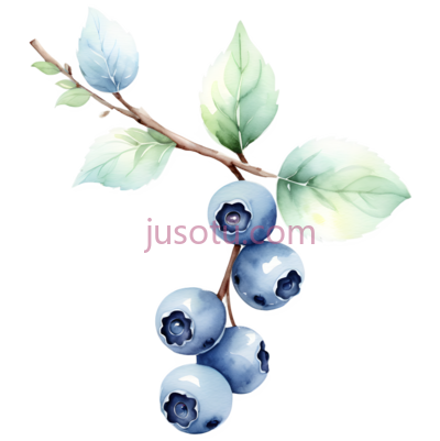 蓝莓枝条, PNG