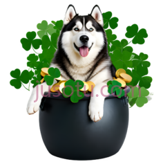 哈士奇,卡通,黑白PNG