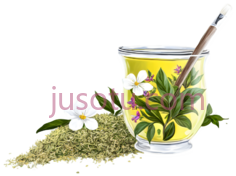 玻璃杯,花卉图案,黄色PNG