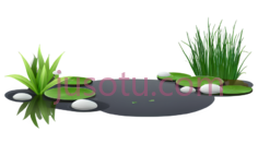 池塘PNG