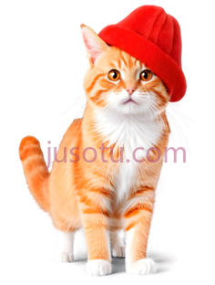 猫,戴红色帽子的橘色虎斑猫,橙色带白色PNG
