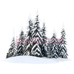 雪松,3D,白色PNG