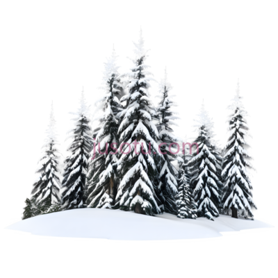 雪松,3D,白色, PNG