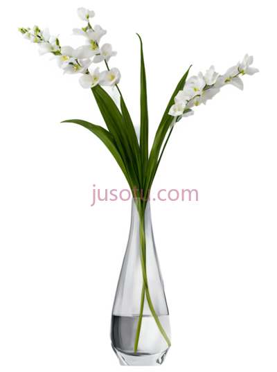 花瓶,室内, PNG