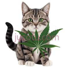 可爱猫咪,大麻叶子PNG