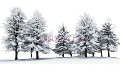 雪松,3D,白色, PNG