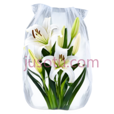 小花, PNG