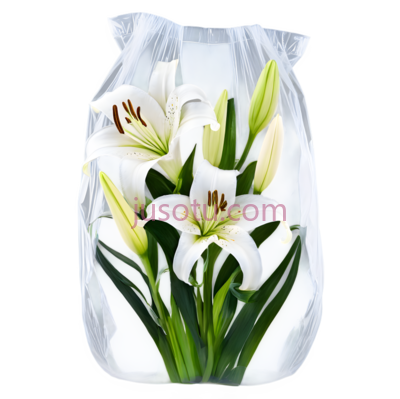 小花, PNG