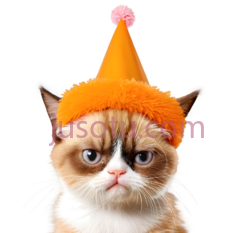 猫,不高兴,橙色,白色PNG