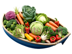 蔬菜,卷心菜,胡萝卜,西兰花,辣椒PNG