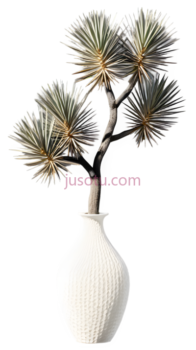 花瓶,树,盆景, PNG