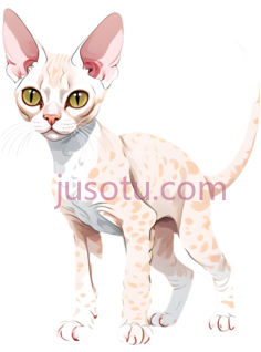 无毛猫,卡通,浅粉色PNG