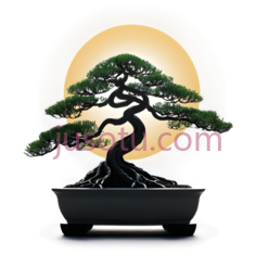 盆景,亮太阳PNG