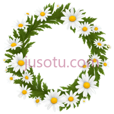 花环,雏菊,装饰,花束PNG