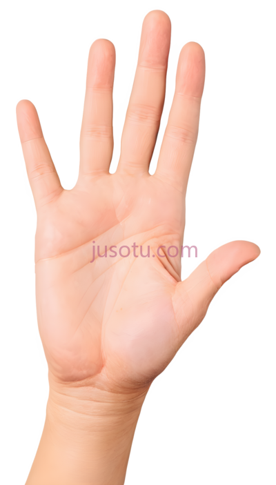 手掌,自然,肤色, PNG