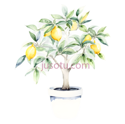水彩,柠檬树,花盆, PNG