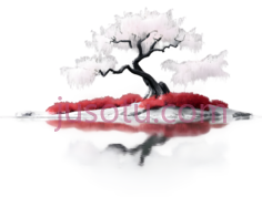 树,盆景,白色PNG