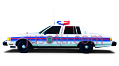 警车,线条流畅,车身修长,白色PNG