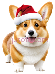 柯基犬,圣诞节PNG
