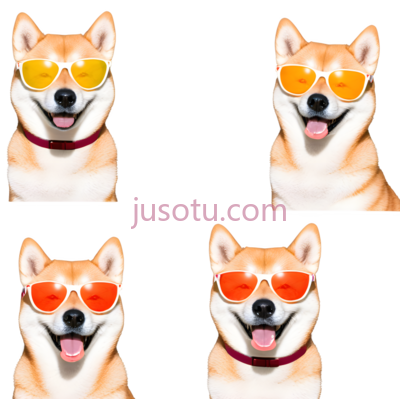 柴犬,戴墨镜,黄色, PNG