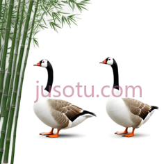 鸭子,卡通,白色, 黑色, 棕色PNG