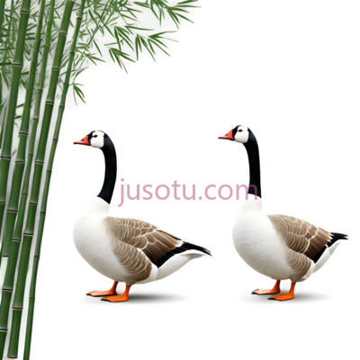 鸭子,卡通,白色, 黑色, 棕色, PNG