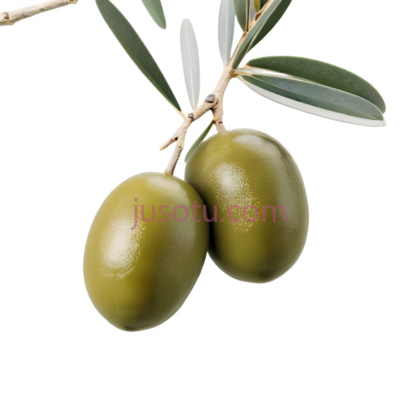 橄榄, PNG