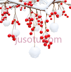 雪球,冬季,白色PNG